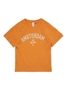 Vero Moda VMAMANDAFRANCIS T-shirts -Nugget - 10282255
