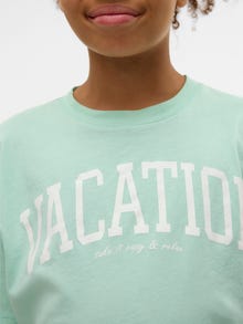 Vero Moda VMSIA Topp -Birds Egg Green - 10328129