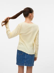 Vero Moda VMISA Cardigans -Anise Flower - 10344845