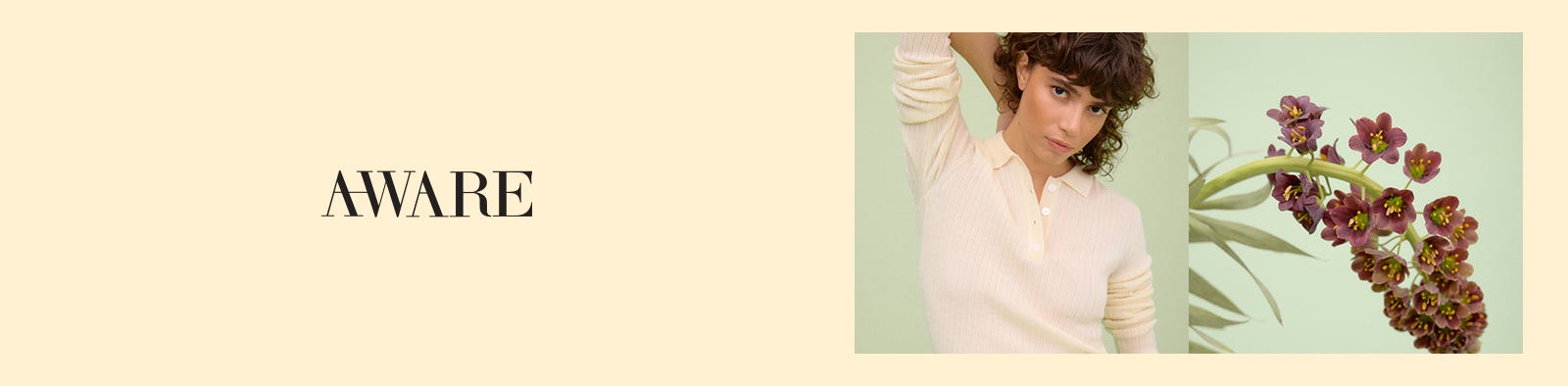 aware_banner.jpg